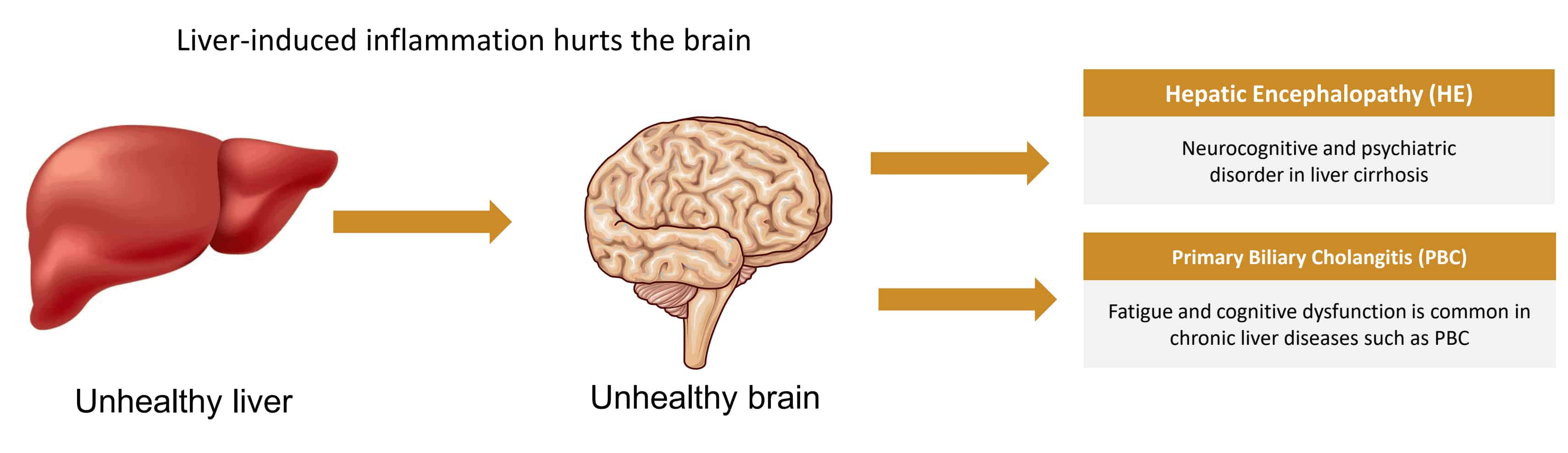 umecrine-disorders-image (1)